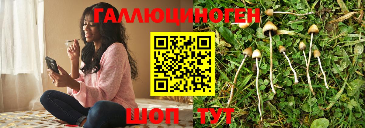 Галлюциногенные грибы мицелий  Псилоцибиновые грибы Psilocybine cubensis  Черкесск  Вход с VPN 